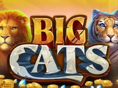 Dublinbet Casino screenshot